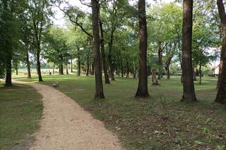 Tak wygląda Rejowiec Fabryczny w wakacyjne popołudnie. Zobacz zdjęcia