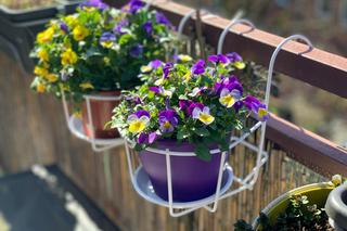 Doniczki balkonowe z uchwytami