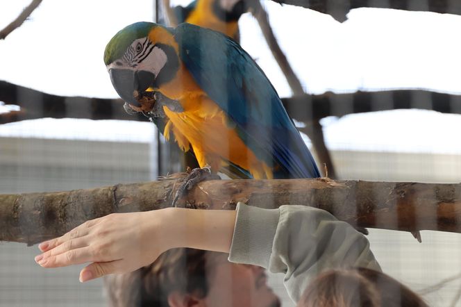 ZooPark ponownie przyciągnął do Targów Lublin tłumy miłośników zwierząt