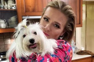 Pierwsza miłość po wakacjach 2019. Sobowtór Marysi na wolności! Dominika znów wkroczy do jej domu