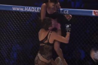 Najgorętsza liga MMA: Lingerie Fighting Championship