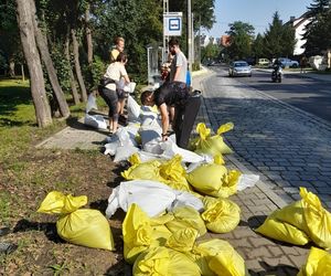 Wrocław walczy z wielką wodą. Rzeka wylewa na Stabłowicach, mieszkańcy układają worki z piaskiem 