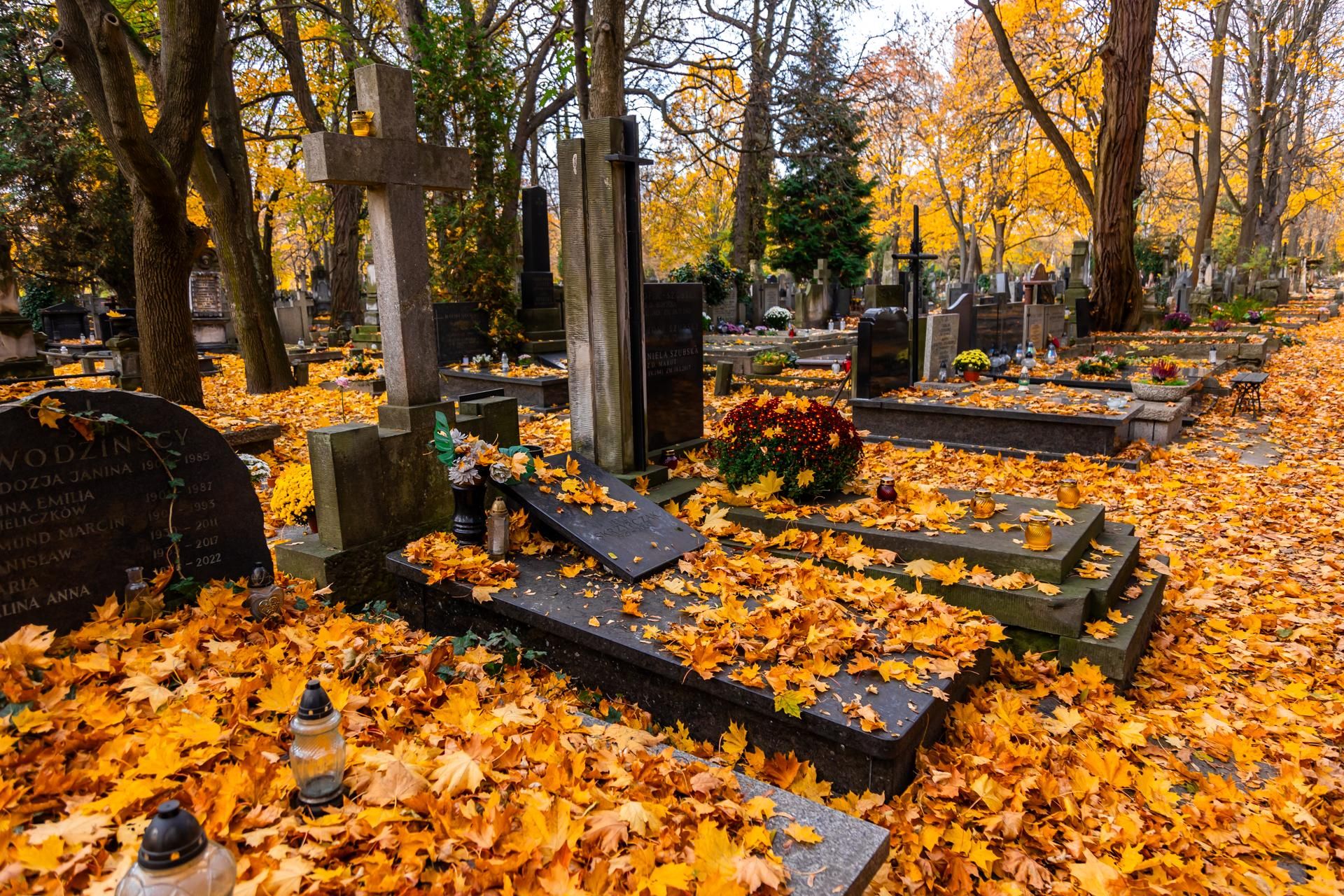 Stare Powązki. Groby architektów