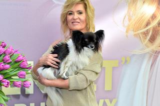 Rzucił Kasprzyk na kolana. Ewa Kasprzyk z pieskiem Shakirą