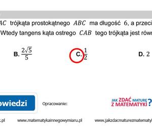 Matura 2022: matematyka, poprawka. Arkusz PDF