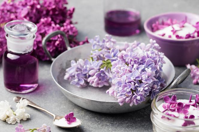 Liliowy syrop z bzu zwyczajnego: pyszny i zdrowy dodatek z jadalnych kwiatów lilaka