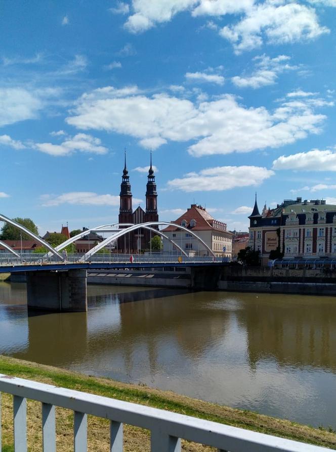 Połączą ulicę Kołłątaja z Armii Krajowej. Czekają nas korki