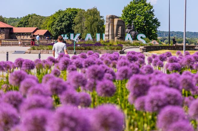 Kowno. Co zwiedzić w litewskim mieście Mickiewicza i architektury z listy UNESCO?