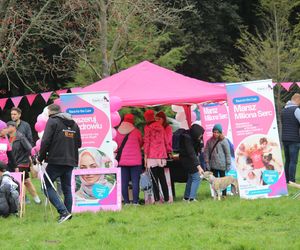 Race for the Cure