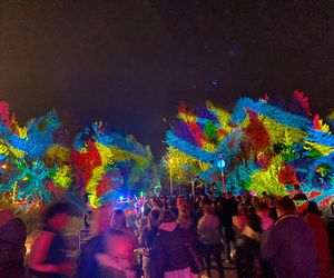 Light Move Festival 2025