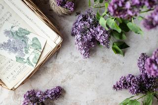 Kwiaty bzu postoją w wazonie nawet dwa tygodnie! Dodaj do wody jedną rzecz 