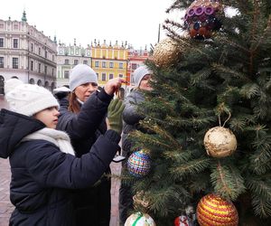  Zamojskie przedszkola i szkoły dekorowały choinki