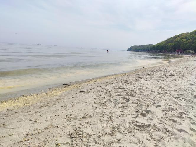 Plaża w Gdyni Śródmieściu. Żółta woda w Bałtyku