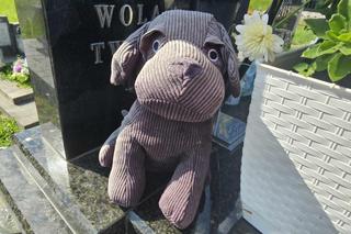 Tragiczny wypadek w Wylewie. Grób młodego siatkarza i jego rodzeństwa [GALERIA]