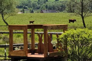 To najniższa wieża widokowa w Polsce. Ma 20 cm wysokości!