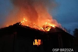 Groźny pożar w podbydgoskiej Kobylarni! W garażu spłonął samochód! [ZDJĘCIA]