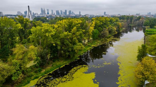 Port Praski - widok z drona, wrzesień 2024