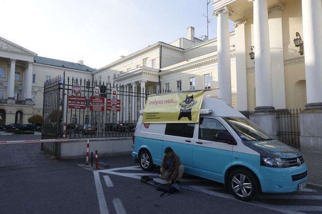 Wielki protest przez ratuszem. Wolontariusze walczą o życie kotów