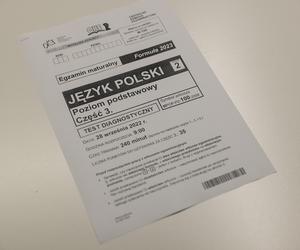 Matura z polskiego 2024. Arkusze CKE, pytania i zadania. Zobacz, co było na maturze 