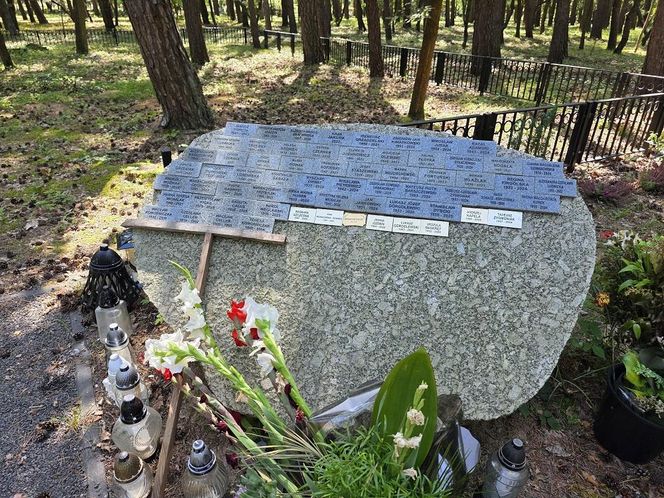 Las pamięci na Junikowie w Poznaniu