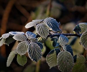 Pogoda oszalała! Zimny szok na przełomie maja i czerwca. Przymrozki nawet do -5°C