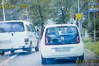 W Gorzowie posypały się mandaty dla pieszych i kierowców