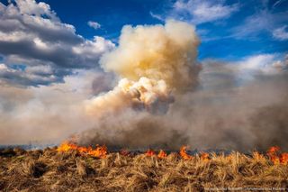 Rozszerza się pożar na terenie Biebrzańskiego Parku Narodowego! 
