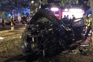 Lubelskie: 20-latek za kierownicą wjechał w drzewo. Pięć osób trafiło do szpitala