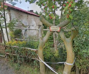  Najpiękniejsza wieś Dolnego Śląska. To miejsce przyciąga artystów 