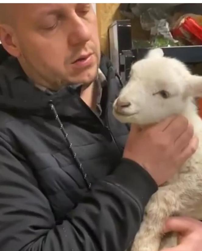 Zostałem mamą Henia