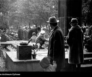 Cmentarze Powązkowskie - 1946-1963