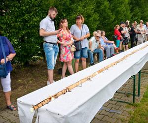 Będzin pożegnał tegoroczne lato. To były trzy dni wypełnione atrakcjami 