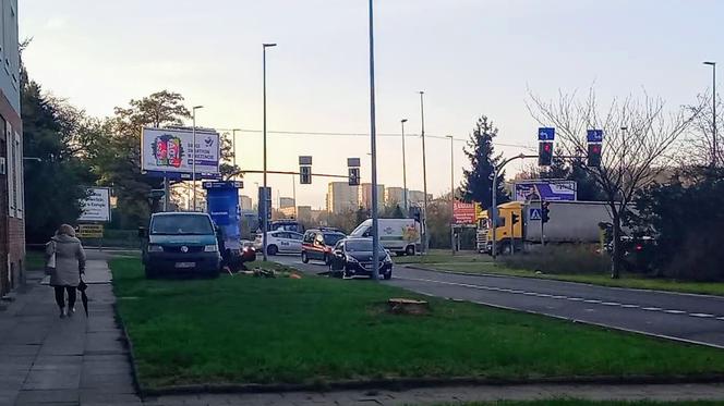 Okazałe drzewa na Turzynie poszły pod topór