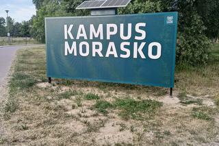 Wielkie Grillowanie 2023