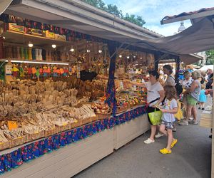 Smoczy Piknik Rodzinny 2025 w Krakowie