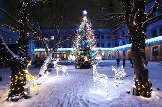 Świąteczne iluminacje na zamkowym dziedzińcu. Tutaj można poczuć się jak w bajce