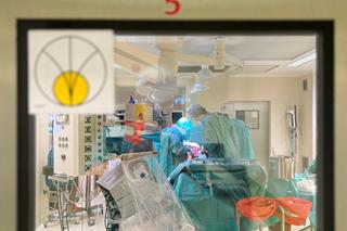 Ponad sto przeszczepień w SPWSZ w 2023 roku