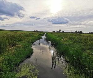 Ostrzeszów ekologiczny - samorząd podsumował 5 lat pracy