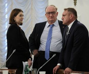 Rada Gabinetowa.