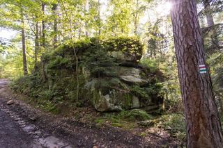 Rezerwat Dalejów w Świętokrzyskiem