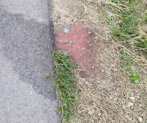 Ślady zbrodni na drodze, spalone ubrania ofiary spod Grójca. Sąsiedzi: Myśleliśmy, że to mafijne porachunki