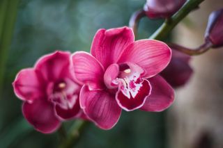 Życzenia imieninowe dla Zbigniewa. Znajdź inspirację, aby wyrazić swoje najlepsze życzenia dla Zbyszka