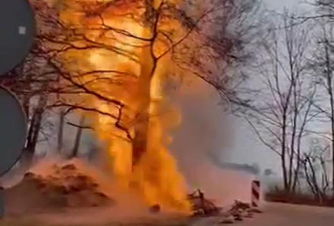 Pożar gazociągu w Łódzkiem
