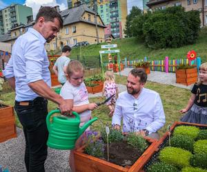  Został Ci po nim jeszcze pomidor. Internauci komentują rozpad koalicji Materek- Kołodziejczak