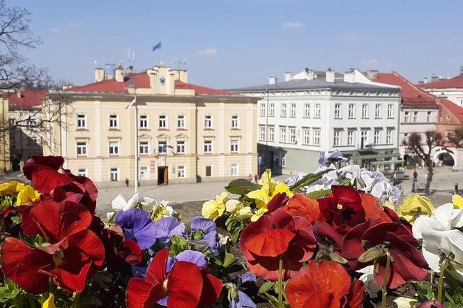 Nie oddałeś jeszcze głosu? Zostały ostatnie godziny głosowania nad Budżetem Obywatelskim 2022! 