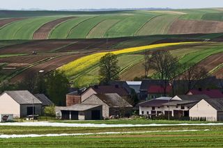 Wyjątkowa małopolska wieś na Szlaku Orlich Gniazd. Zachwycają się nią nawet za granicą 