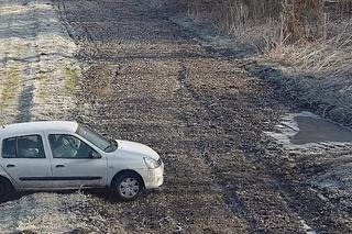Ugrzązł z psem podczas nielegalnego przekkraczania granicy