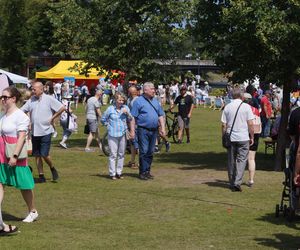 Słońce, tradycja i muzyka. Jarmark Świętojański rozkochał Bydgoszczan