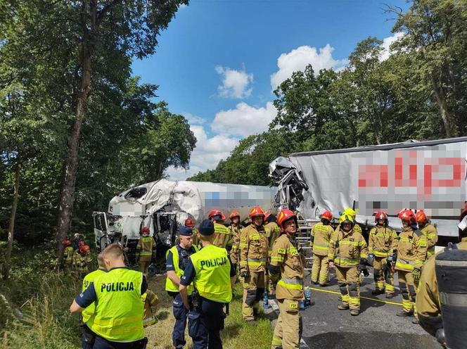 Śmiertelny wypadek na drodze krajowej nr 10 pod Bydgoszczą. Zderzyły się dwie ciężarówki
