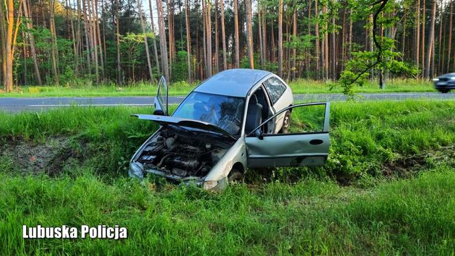 Zabrał samochód brata i skończył w rowie